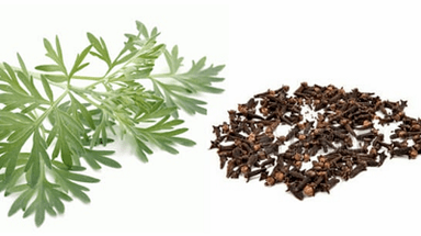 cloves និងដង្កូវសម្រាប់ការលុបបំបាត់ប៉ារ៉ាស៊ីតពីរាងកាយ