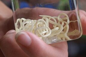 ប៉ារ៉ាស៊ីតពីរាងកាយមនុស្ស