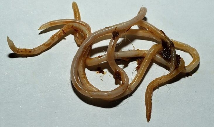 ថូកូរ៉ាមកពីរាងកាយមនុស្ស